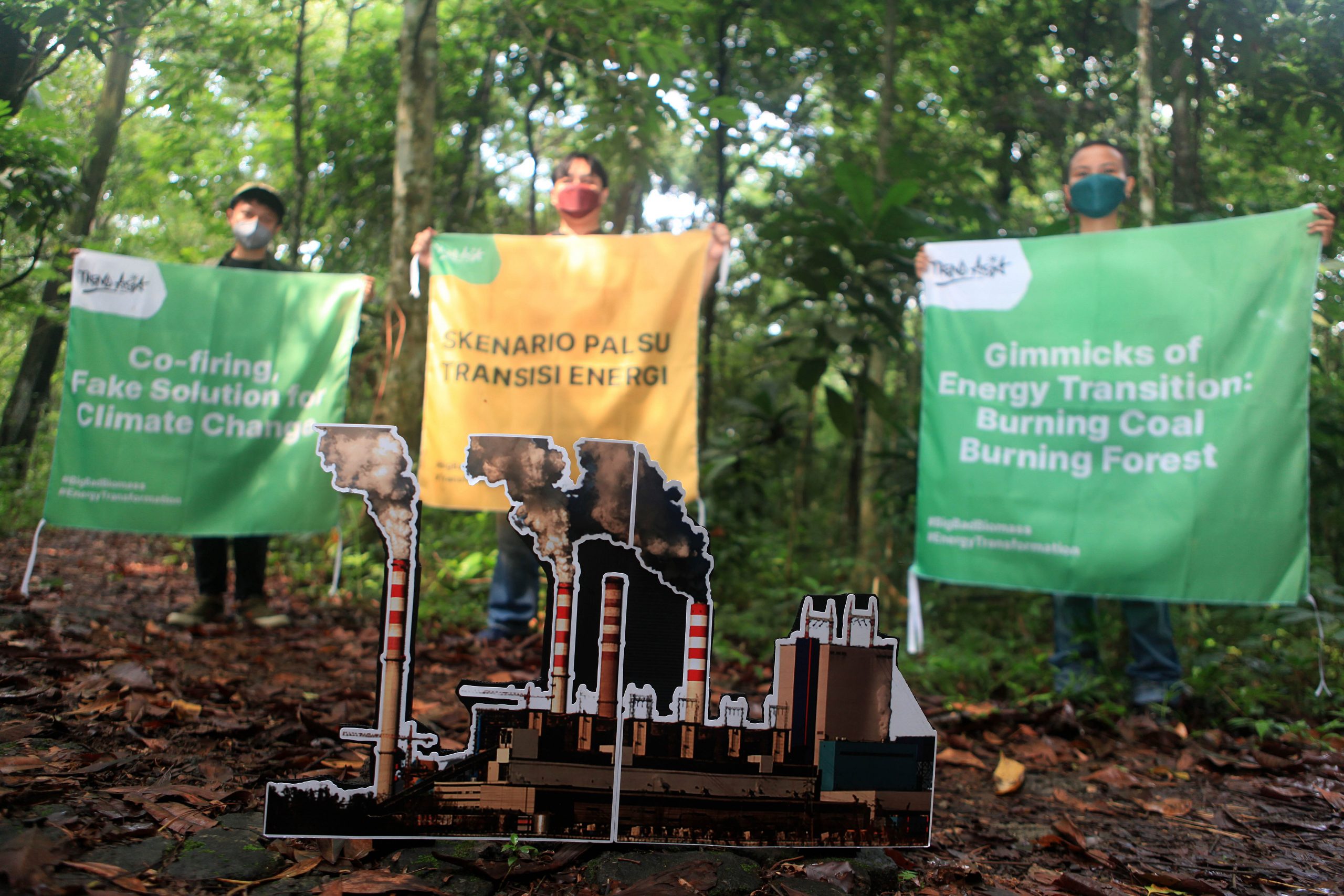 Co-Firing, Skenario Transisi Energi Indonesia dengan Membakar Hutan ?
